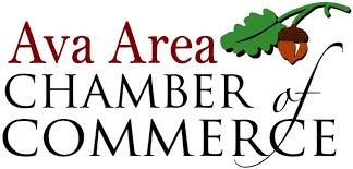 Ava Chamber Member